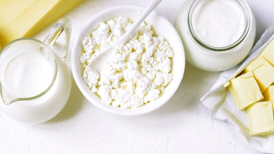 cheese processing