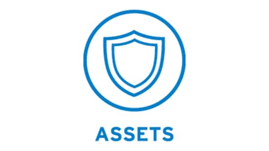 Icon representing Assets