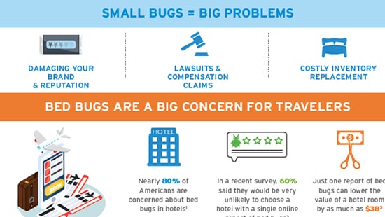 Bed Bug Infographic