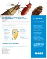 stored product pest fact sheet